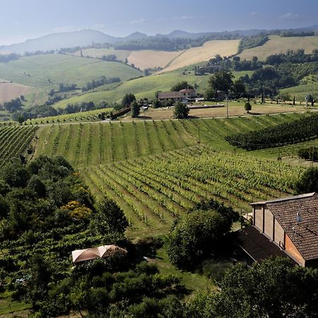 La Ca Dal Non Bioagriturismo - Alpenice Savignano sul Panaro المظهر الخارجي الصورة