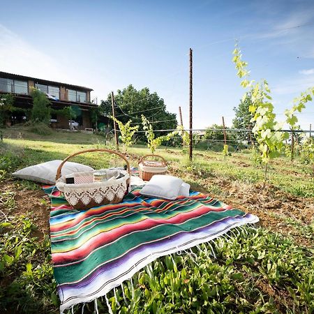 La Ca Dal Non Bioagriturismo - Alpenice Savignano sul Panaro المظهر الخارجي الصورة