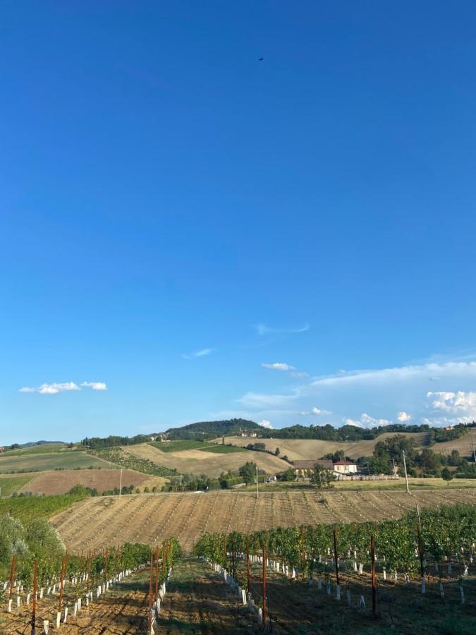 La Ca Dal Non Bioagriturismo - Alpenice Savignano sul Panaro المظهر الخارجي الصورة