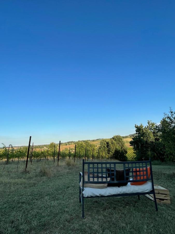 La Ca Dal Non Bioagriturismo - Alpenice Savignano sul Panaro المظهر الخارجي الصورة