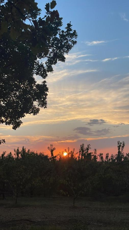 La Ca Dal Non Bioagriturismo - Alpenice Savignano sul Panaro المظهر الخارجي الصورة