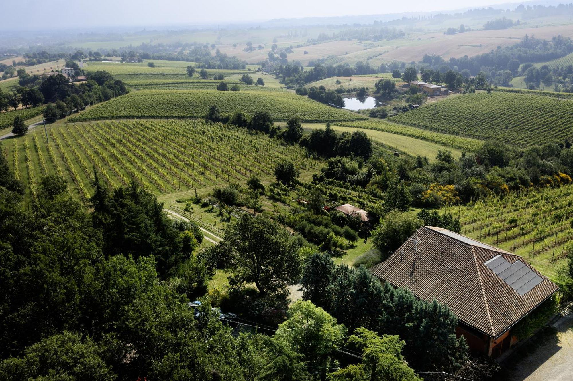 La Ca Dal Non Bioagriturismo - Alpenice Savignano sul Panaro المظهر الخارجي الصورة