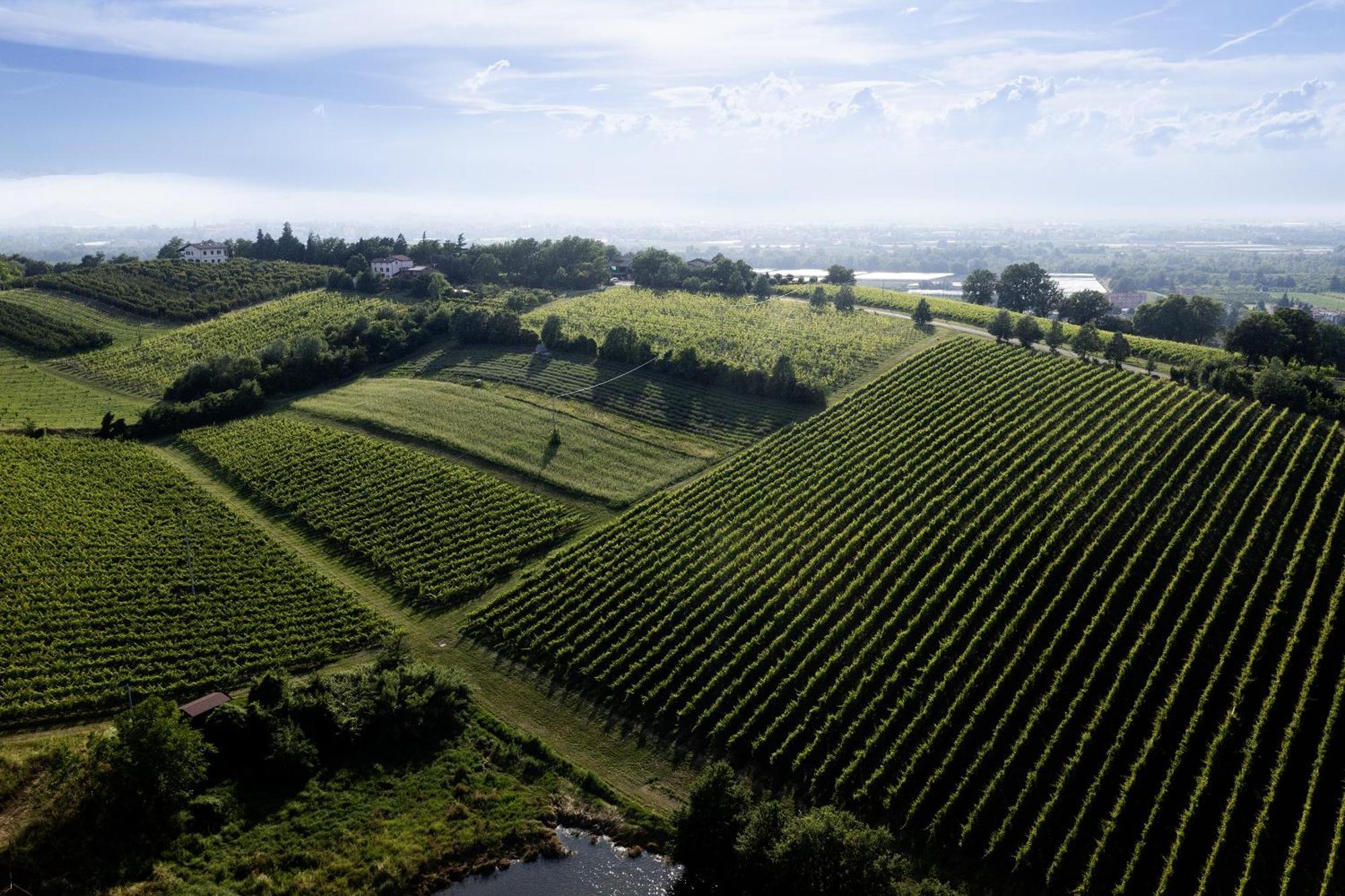 La Ca Dal Non Bioagriturismo - Alpenice Savignano sul Panaro المظهر الخارجي الصورة