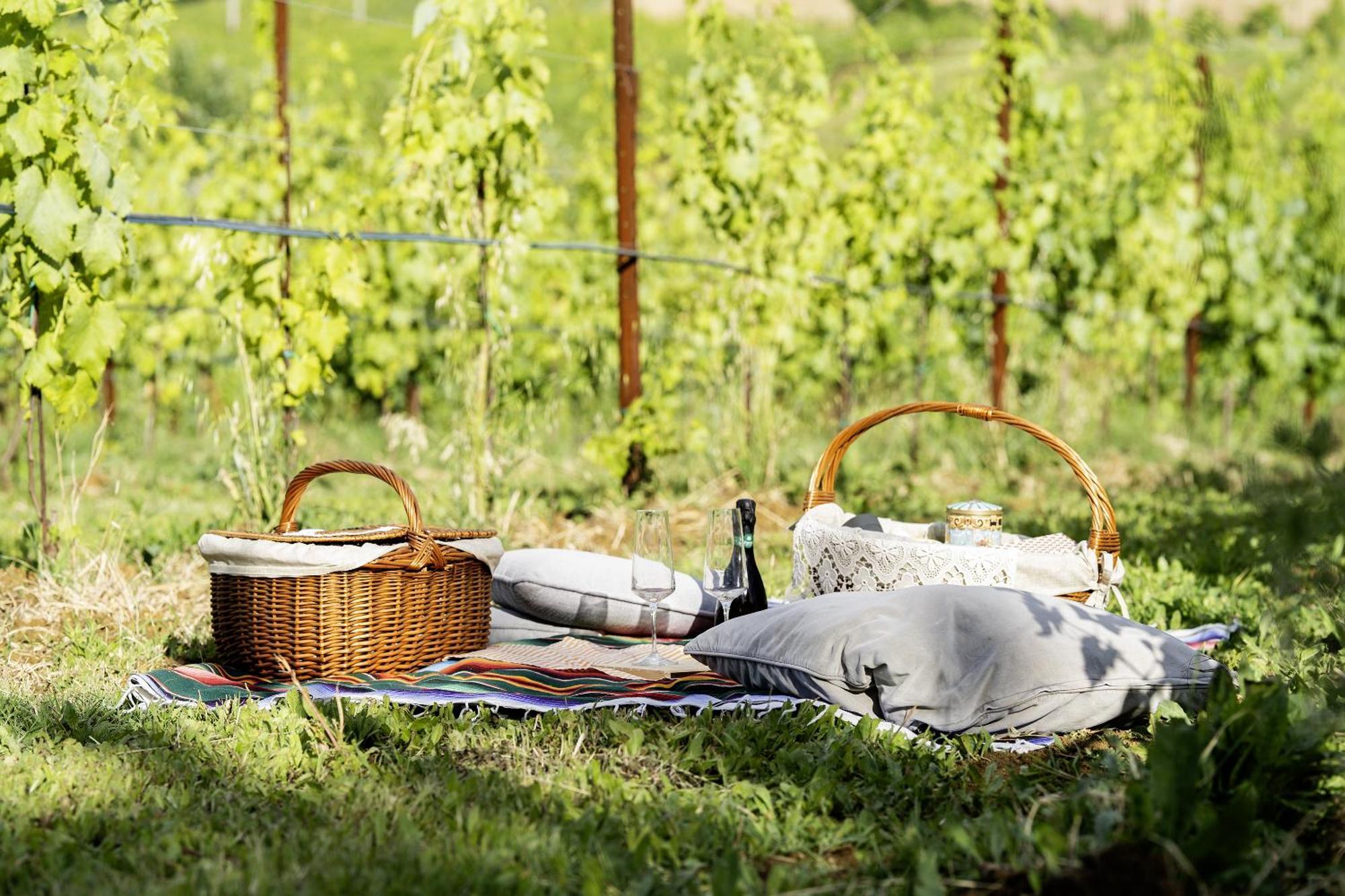 La Ca Dal Non Bioagriturismo - Alpenice Savignano sul Panaro المظهر الخارجي الصورة