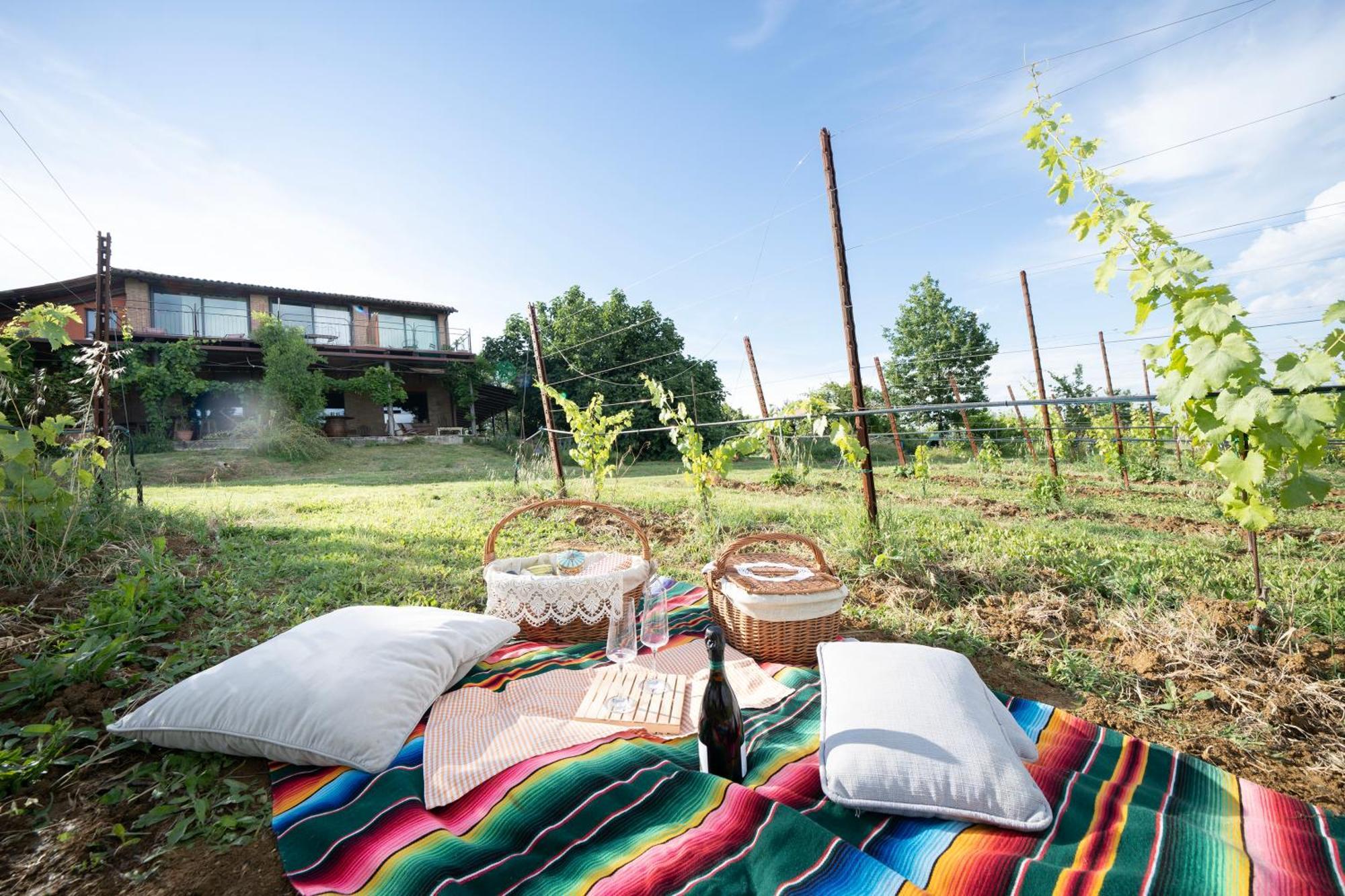 La Ca Dal Non Bioagriturismo - Alpenice Savignano sul Panaro المظهر الخارجي الصورة