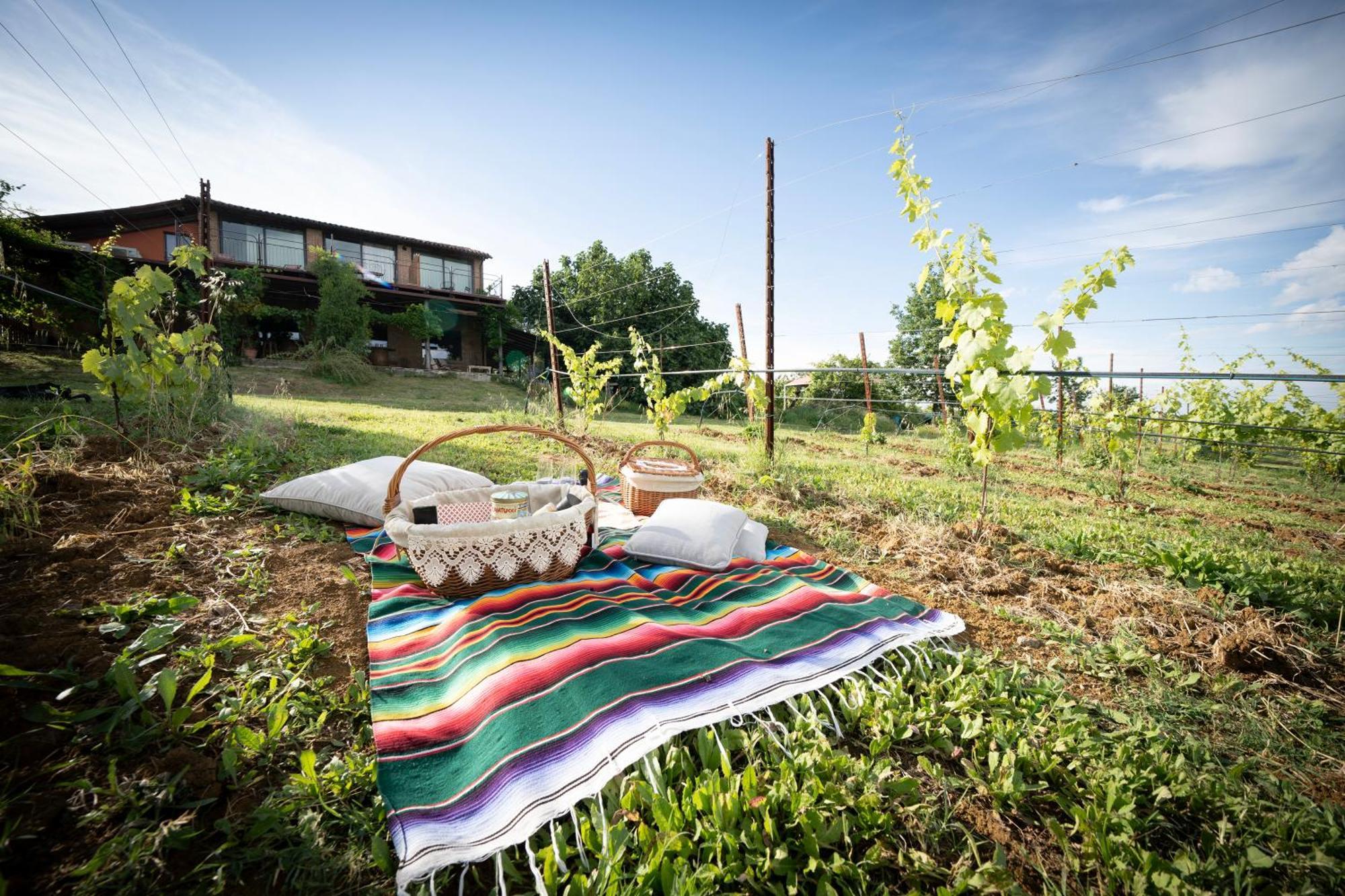 La Ca Dal Non Bioagriturismo - Alpenice Savignano sul Panaro المظهر الخارجي الصورة