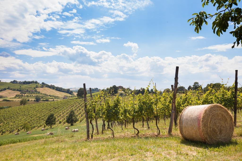 La Ca Dal Non Bioagriturismo - Alpenice Savignano sul Panaro المظهر الخارجي الصورة