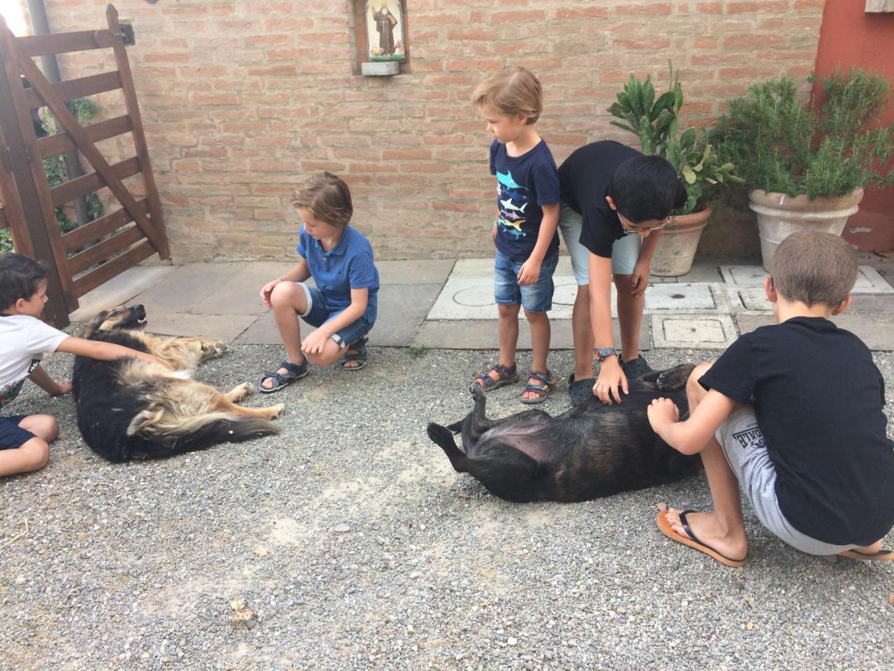 La Ca Dal Non Bioagriturismo - Alpenice Savignano sul Panaro المظهر الخارجي الصورة